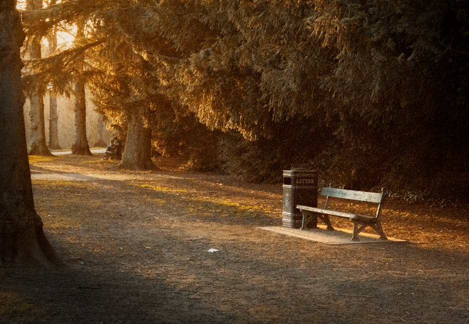 A park scene in the late afternoon with a well-maintained grassy lawn and numerous deciduous trees, some with bare branches and others with green foliage, indicating a transitional season. Several wooden picnic tables are scattered throughout the park, positioned on the grass and near pathways, providing seating areas amidst the natural setting. In the foreground, a cylindrical wooden trash bin with a beige plastic liner is placed on a paved edge along a pathway, which appears to be made of bricks or concrete slabs. The park is illuminated by warm, natural sunlight filtering through the trees, casting soft shadows across the grass and highlighting the textures of the bark, leaves, and wooden furniture. The background shows a line of trees extending into the distance, with a few park fixtures, such as metal frames for sports equipment or signage, faintly visible among the branches. This scene reflects an open, urban green space suitable for leisure activities, with occasional evidence of a private or professional waste collection service, as suggested by the presence of a neatly maintained rubbish bin situated for waste disposal during outdoor gatherings or events.